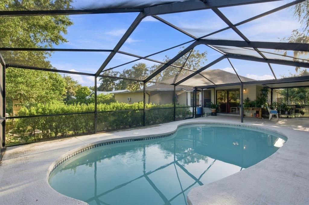 A screened-in swimming pool sits on a patio behind a house with a hedge — 207 LIMONA ROAD, BRANDON, FL