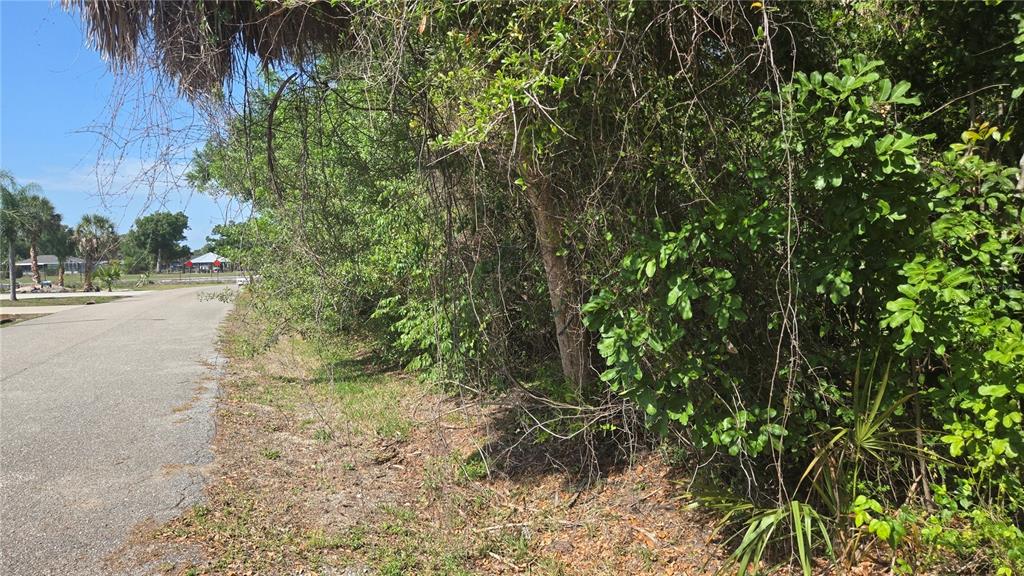 A paved road runs alongside a dense, overgrown wooded lot on a sunny day — ROLLA ROAD, VENICE, FL