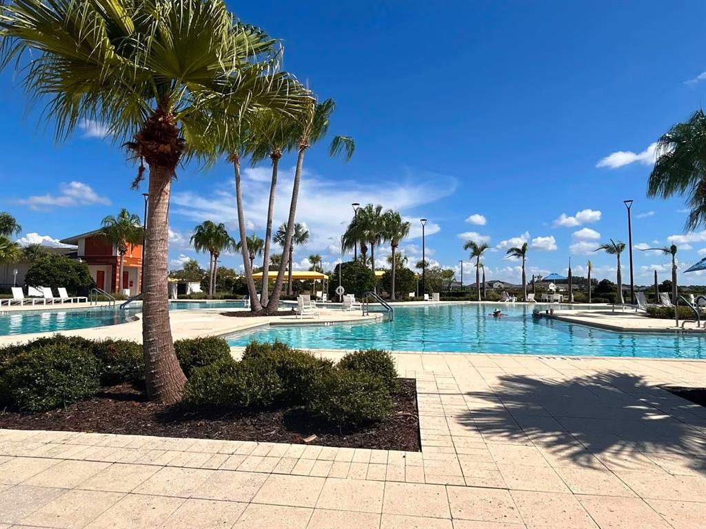 A swimming pool surrounded by palm trees and a paved deck under a blue sky — 10442 ECHO DOCK LOOP, SAN ANTONIO, FL