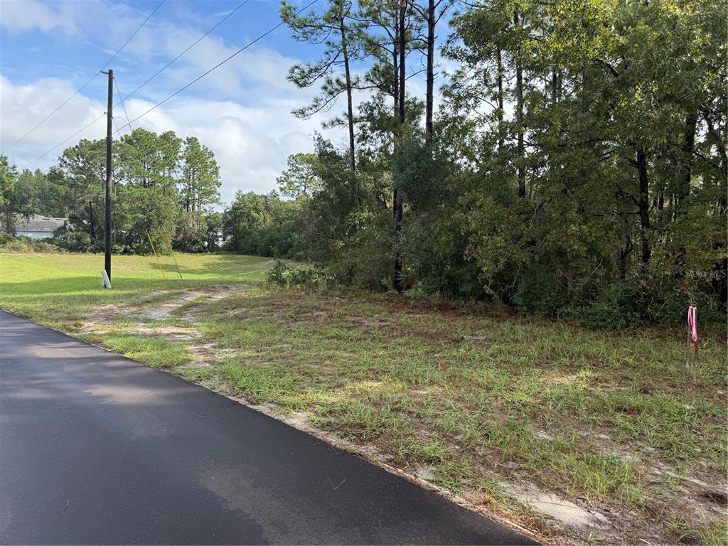 TBD SW 139TH LANE ROAD UNIT 12, OCALA, FL — photo 2 of 4