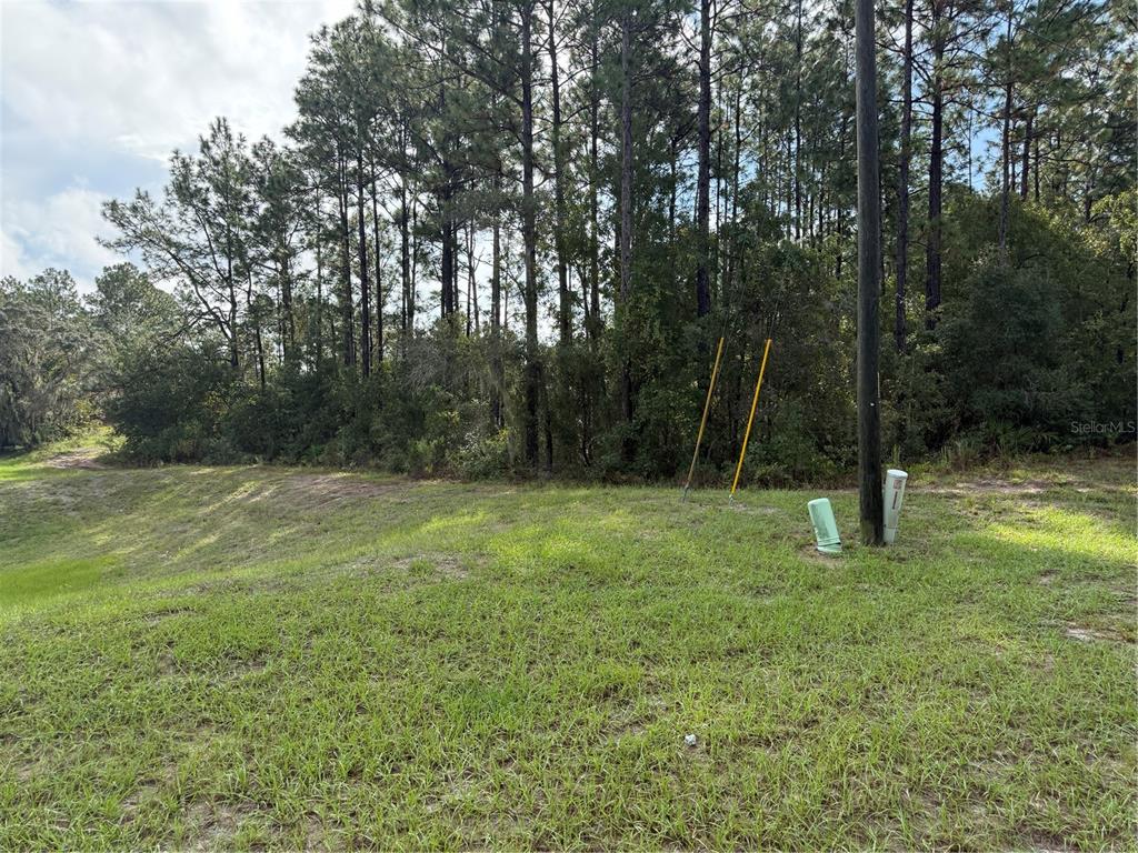 TBD SW 139TH LANE ROAD UNIT 12, OCALA, FL — photo 3 of 4