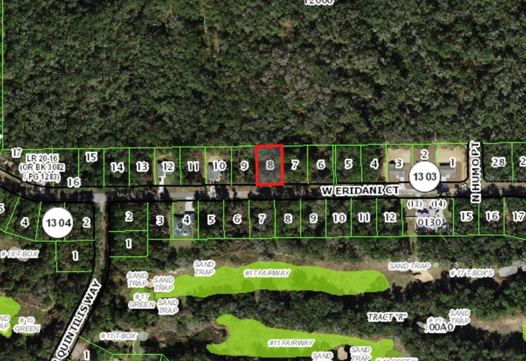 303 W ERIDANI COURT, CITRUS SPRINGS, FL — photo 3 of 3