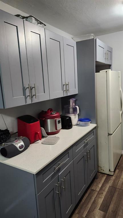 A kitchen features gray cabinets, white countertops, a white refrigerator, and wood-look flooring — 210 FRANCIS PARKMAN PLACE, DAYTONA BEACH, FL