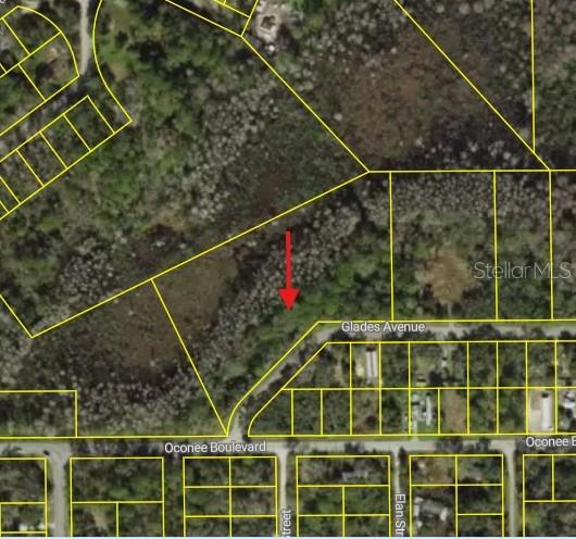 0 0 GLADES AVENUE, NEW PORT RICHEY, FL — photo 4 of 5