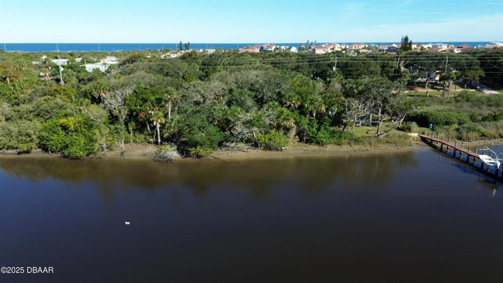 An aerial view shows a wooded shoreline bordering a body of water with a dock — 3780 JOHN ANDERSON DRIVE, ORMOND BEACH, FL