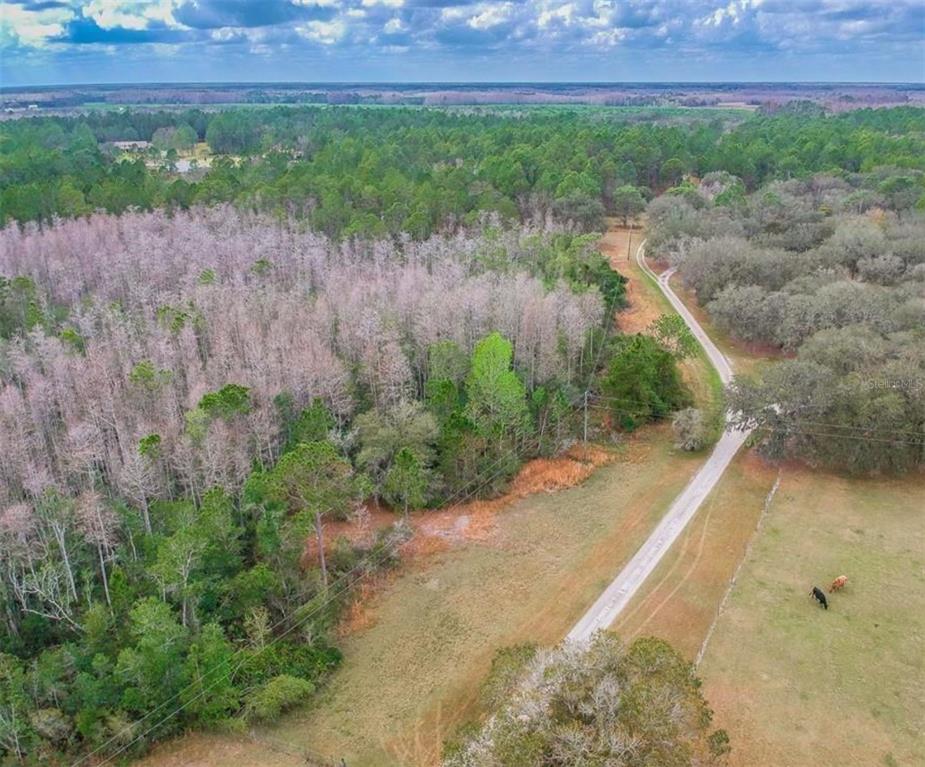 An aerial view shows a dirt road winding through a grassy field and dense forest — DUBOISE DRIVE, CLERMONT, FL