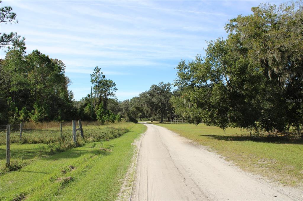 A dirt road winds through a grassy field lined with trees and a wire fence — DUBOISE DRIVE, CLERMONT, FL