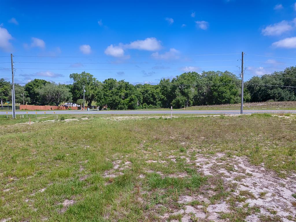 A vacant, grassy lot with sandy patches sits in front of a road and trees — 1891 S US 301, SUMTERVILLE, FL