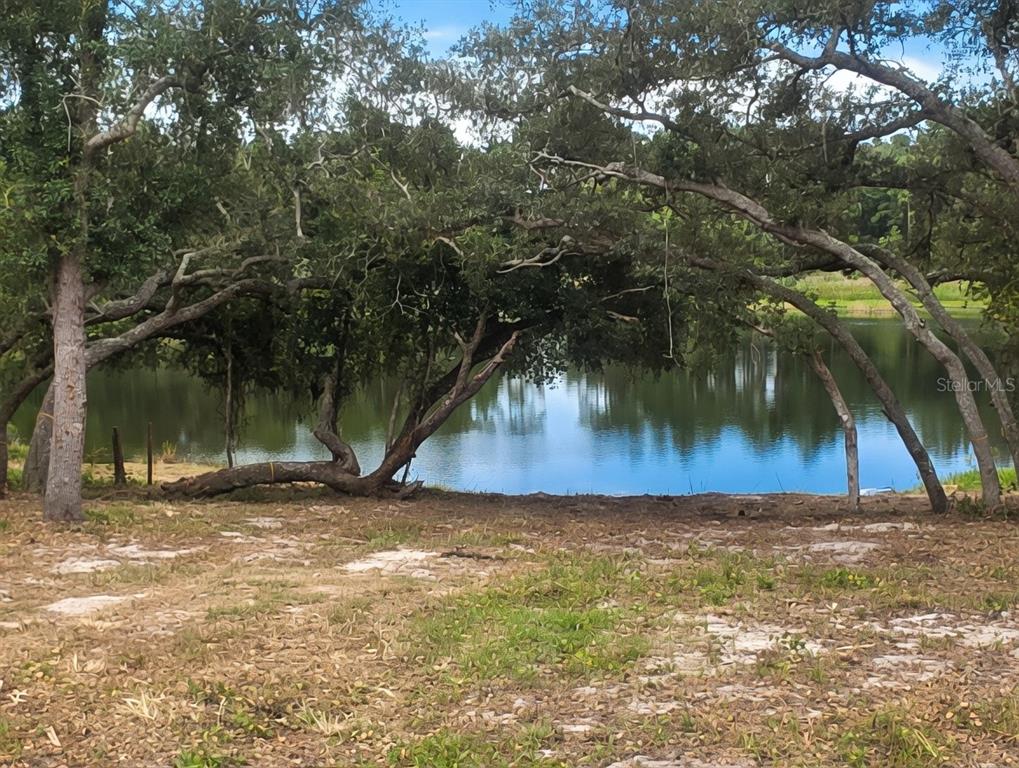5387 SE 168TH AVENUE, OCKLAWAHA, FL — photo 2 of 7