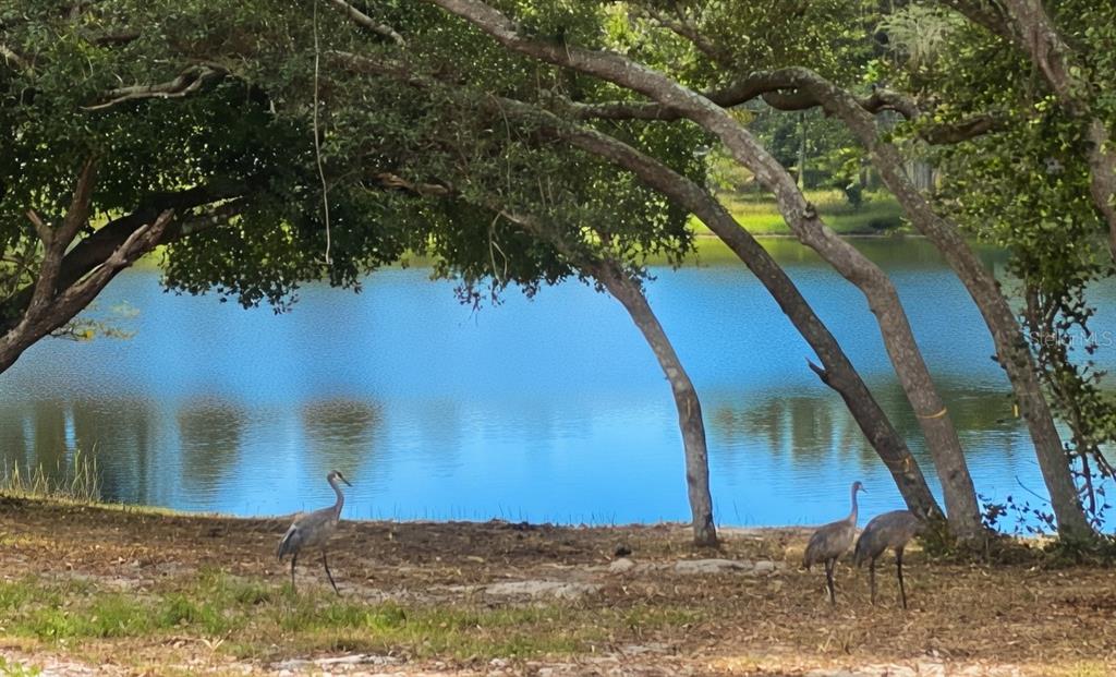 5387 SE 168TH AVENUE, OCKLAWAHA, FL — photo 4 of 7