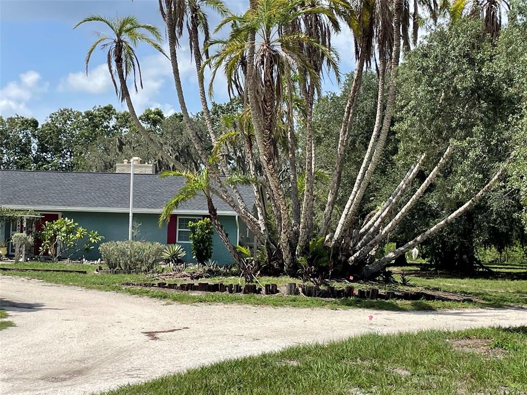 A teal house with a dark roof sits behind a large cluster of palm trees — 1601 STEPHENS ROAD, RUSKIN, FL