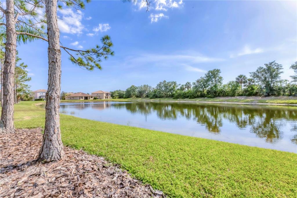 11504 DANCING RIVER DRIVE, VENICE, FL — photo 5 of 30