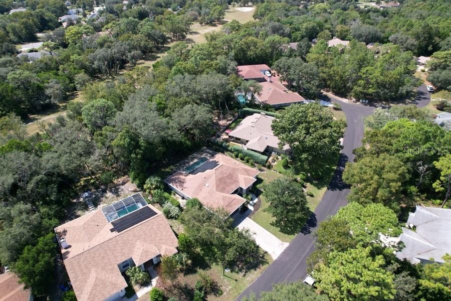 4 BALSAM COURT W, HOMOSASSA, FL — photo 3 of 30