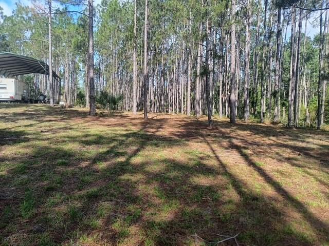 A grassy clearing with pine trees and a metal carport sheltering a recreational vehicle — 540 SW 326TH AVENUE, STEINHATCHEE, FL