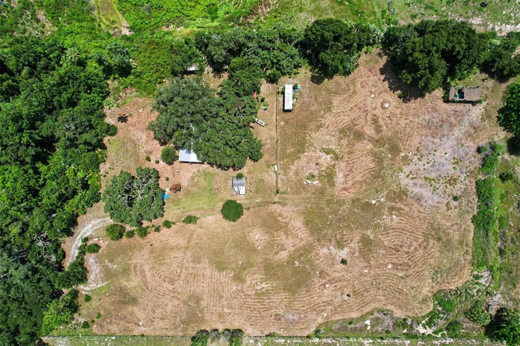An aerial view shows a large, partially cleared lot with trees, a house, and outbuildings — 10239 LYONS AVENUE, LITHIA, FL
