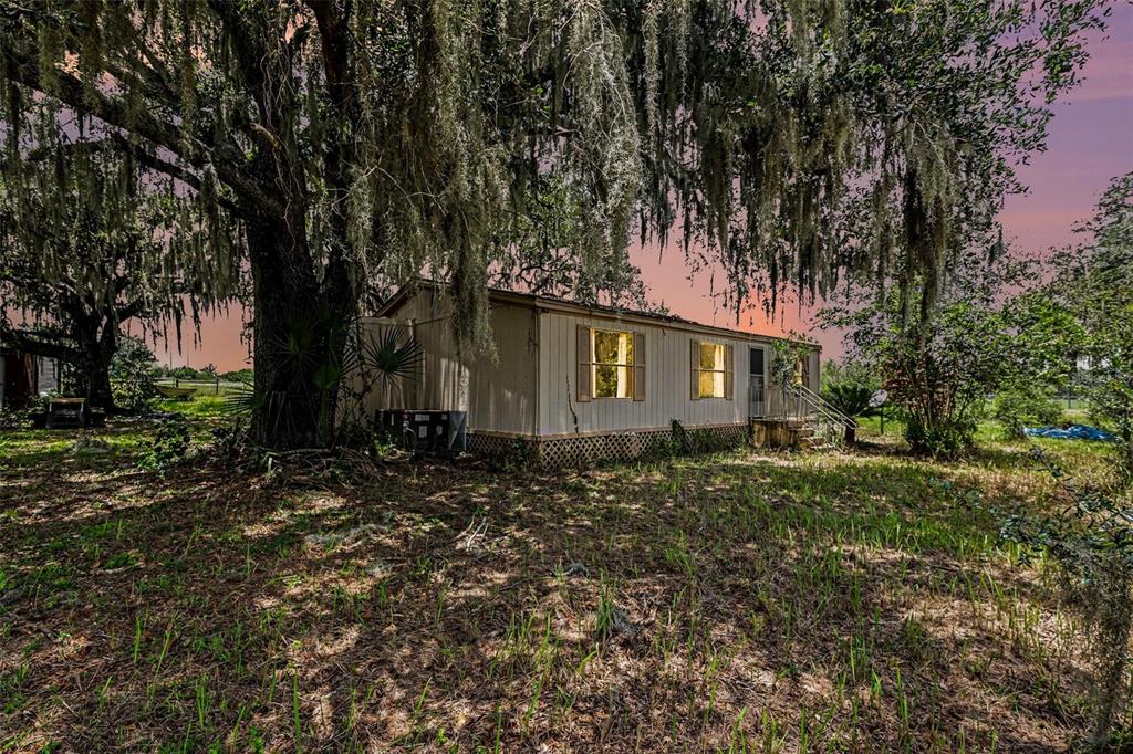 A single-story mobile home sits in a grassy yard beneath a large, moss-covered oak tree — 10239 LYONS AVENUE, LITHIA, FL
