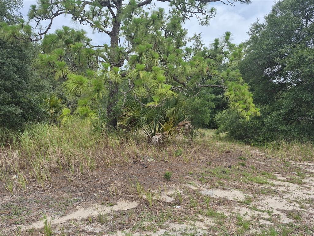 1626 S US 301