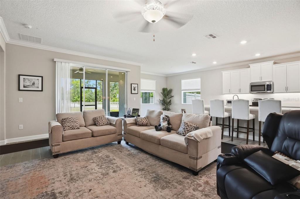 A living room features a large television on a wooden console, a sofa, and sliding doors — 17135 SHELL BAY DRIVE, LAND O LAKES, FL