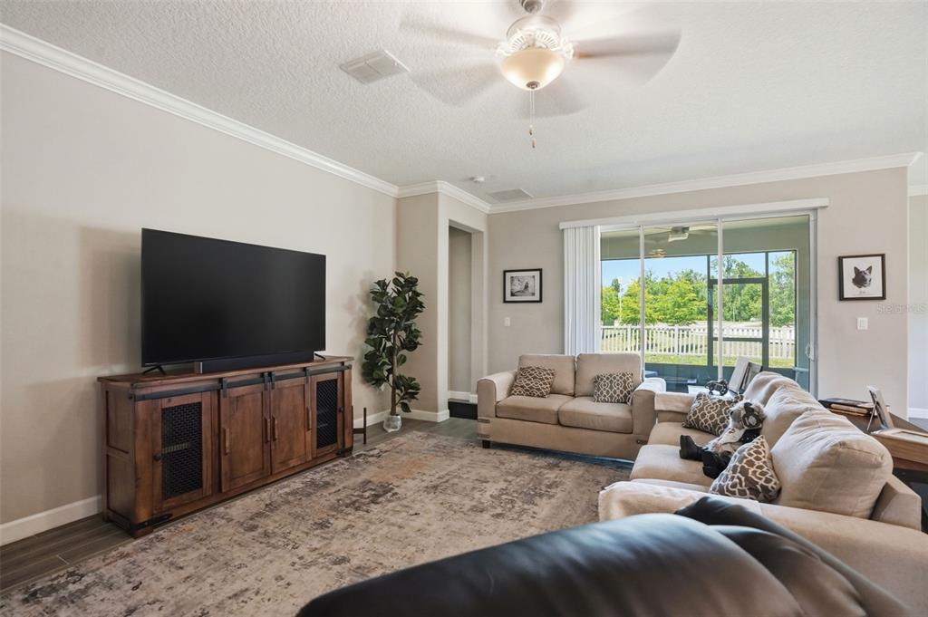 A living room features a large television, a wooden media console, and beige sofas — 17135 SHELL BAY DRIVE, LAND O LAKES, FL