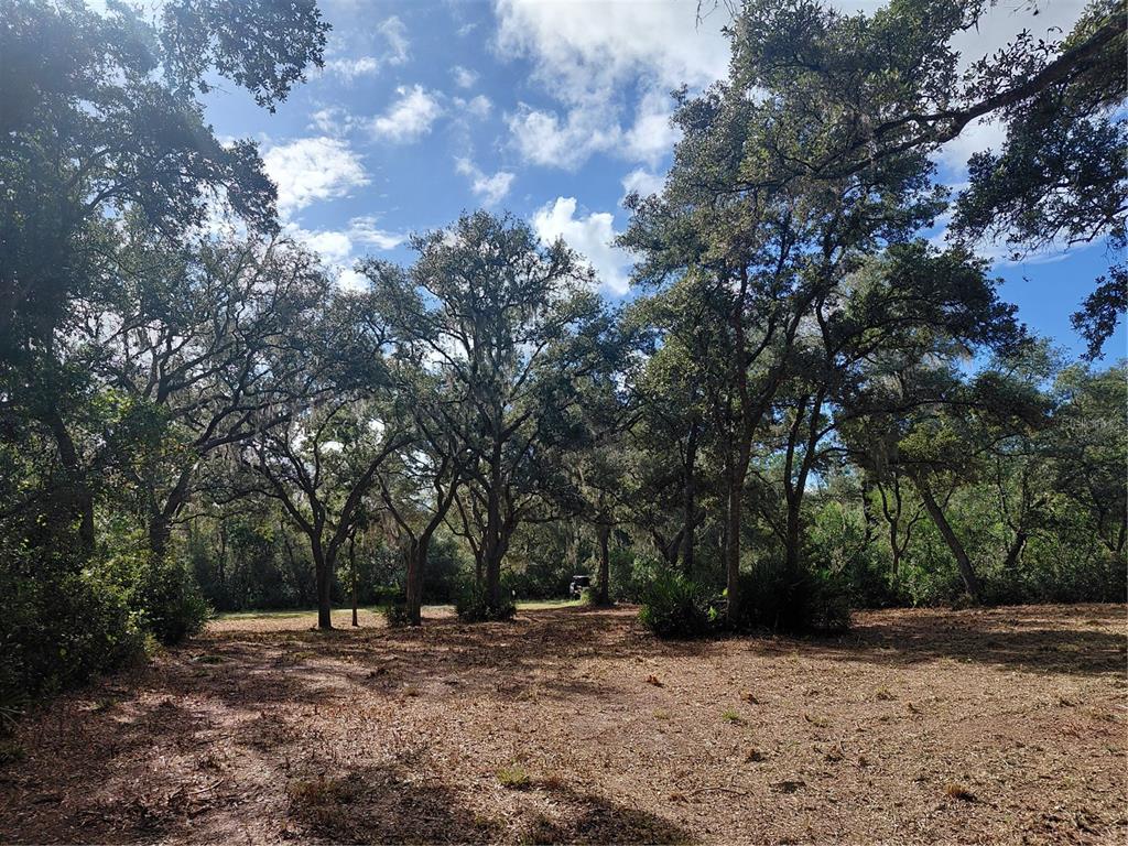 GRINDSTONE DRIVE, WEBSTER, FL — photo 2 of 19