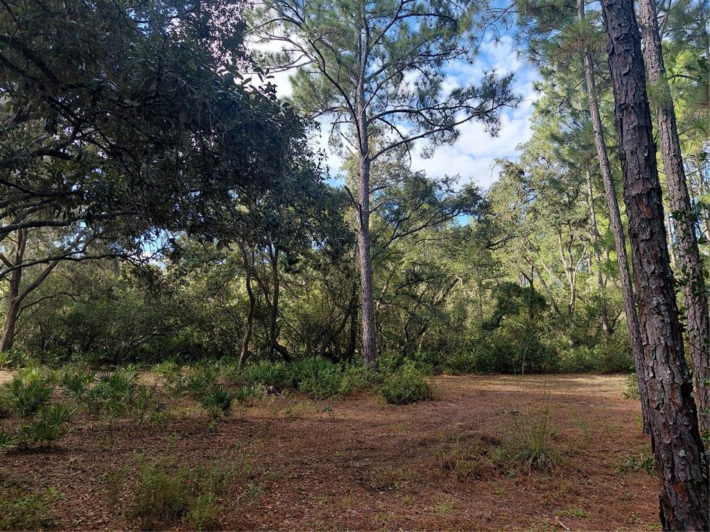 GRINDSTONE DRIVE, WEBSTER, FL — photo 3 of 19