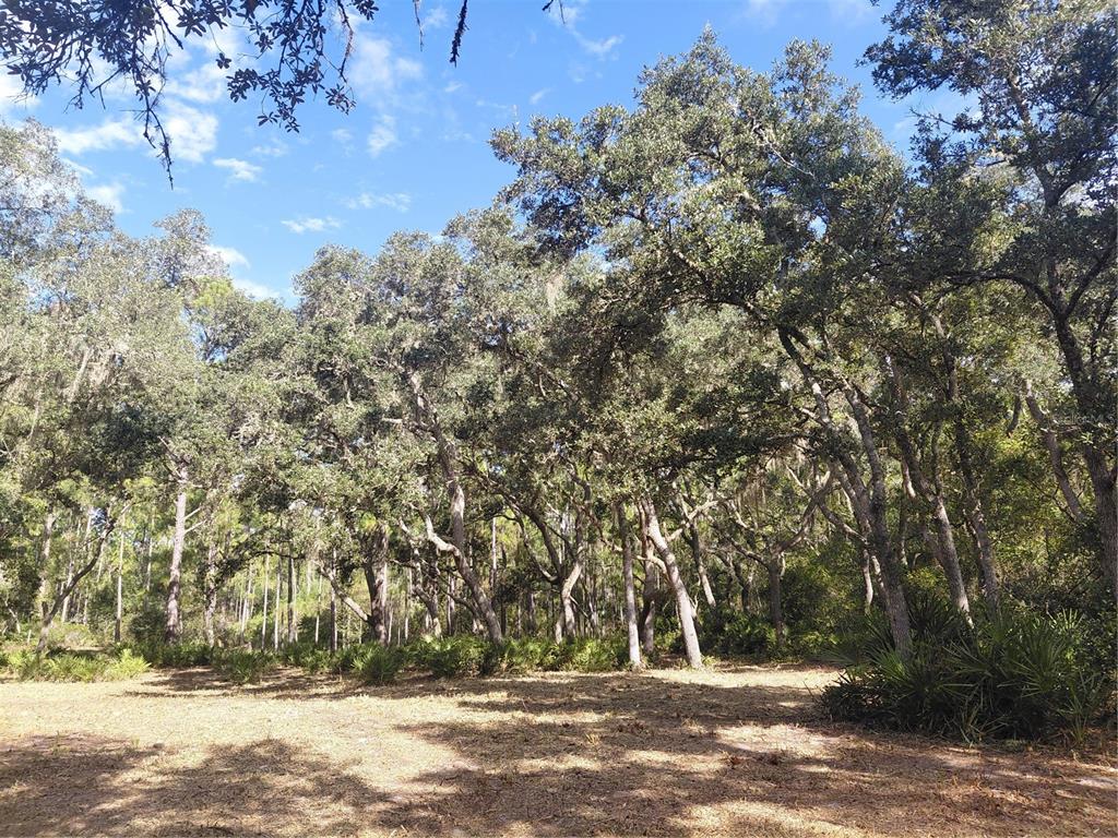 GRINDSTONE DRIVE, WEBSTER, FL — photo 4 of 19
