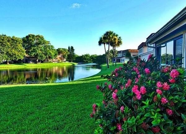 A lush green lawn leads to a pond with palm trees and houses in the background — 8414 17TH STREET N, ST PETERSBURG, FL
