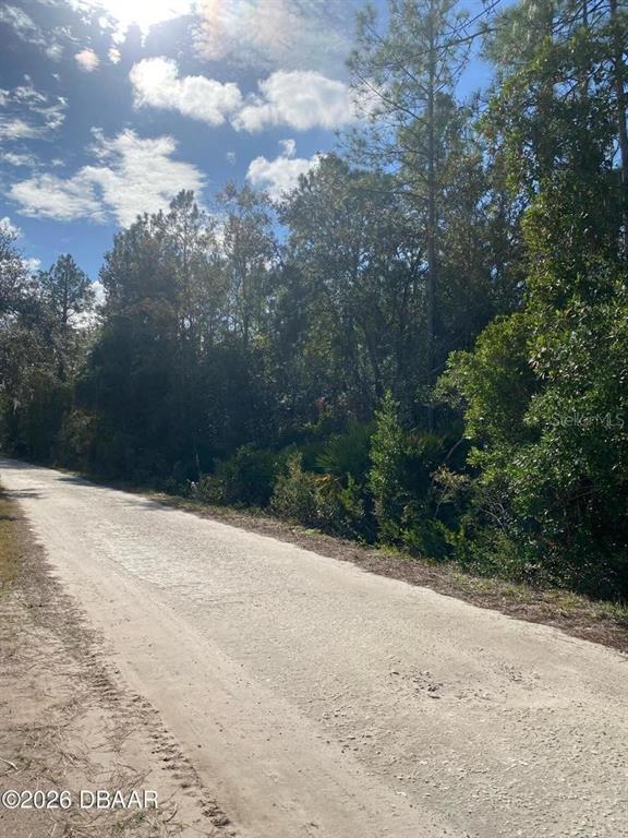 A dirt road runs alongside a dense, wooded area under a bright, partly cloudy sky — 820 OLD BUBBLY ROAD, PIERSON, FL