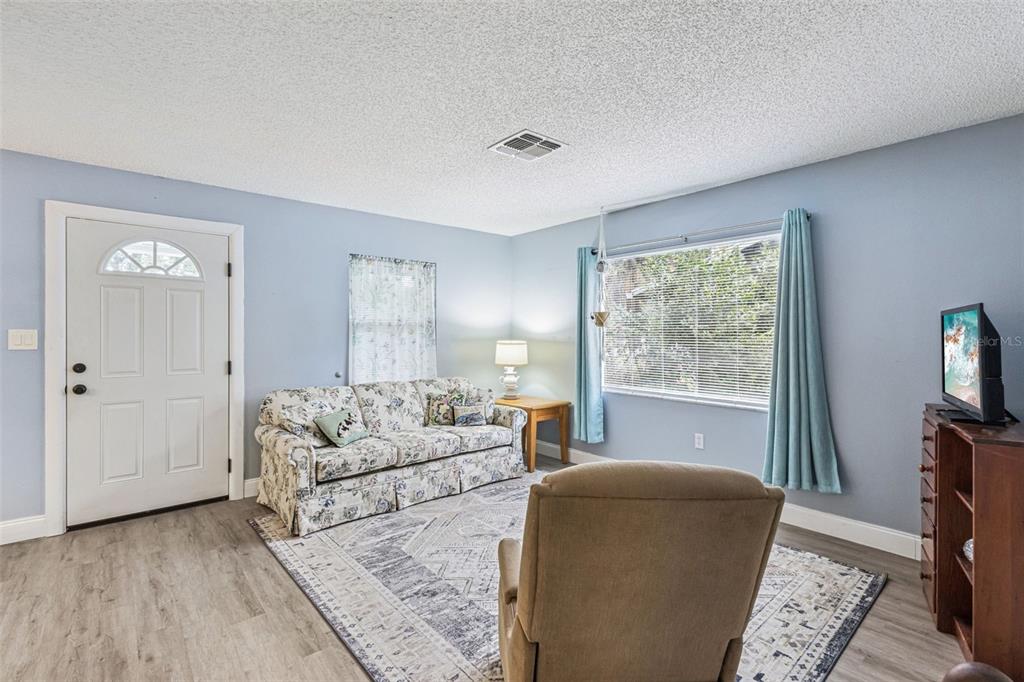 A living room features light blue walls, wood-look flooring, a floral sofa, and a television — 690 E JACKSON AVENUE, MOUNT DORA, FL