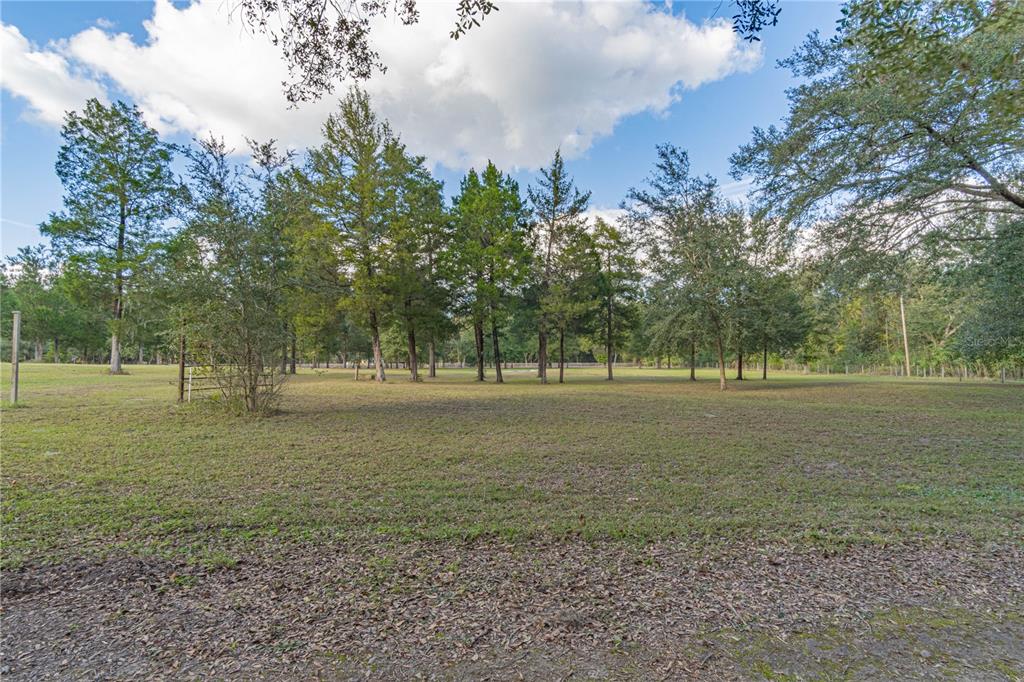 2557 CR 674A, BUSHNELL, FL — photo 5 of 19