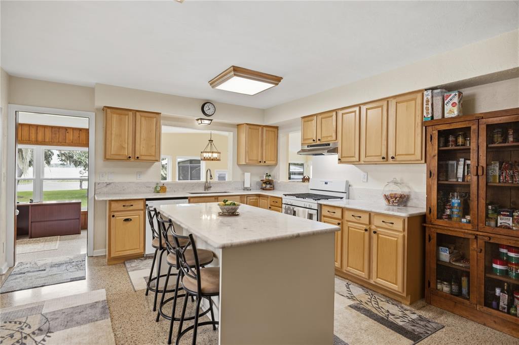 2314 N GRIFFIN DRIVE, LEESBURG, FL — photo 4 of 30