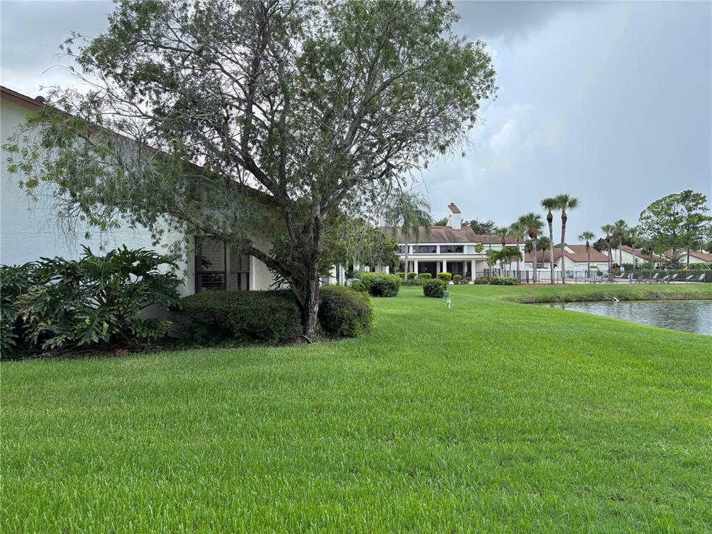 A view of a grassy lawn, a large tree, and a pond near residential buildings — 14837 FEATHER COVE LANE UNIT 45, CLEARWATER, FL
