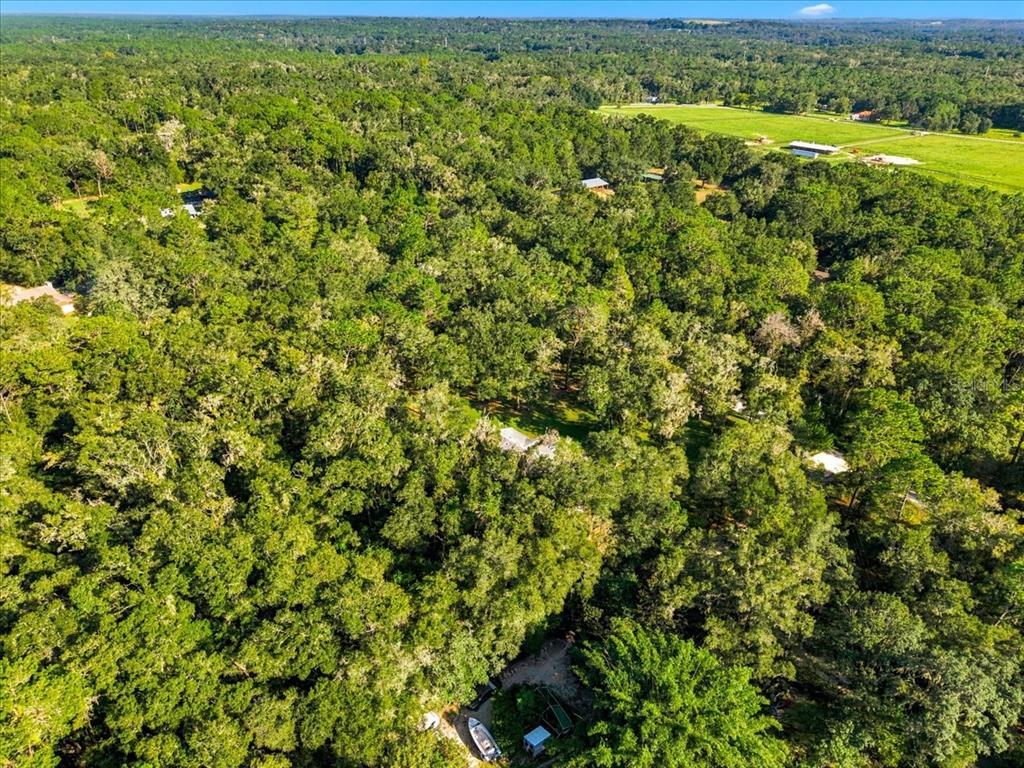 24403 MCCAW ROAD, BROOKSVILLE, FL — photo 5 of 30