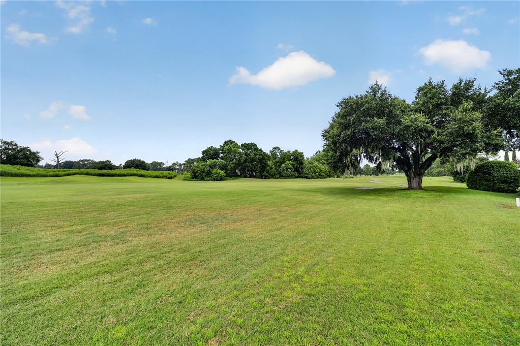 A single-story house with a beige stucco exterior, a paved driveway, and a front lawn — 13500 SE 97TH TERRACE ROAD, SUMMERFIELD, FL