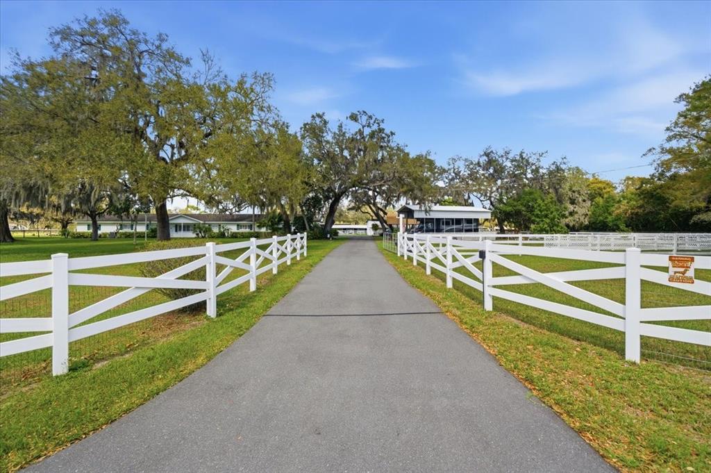 A paved driveway leads toward a house framed by white fences and large oak trees — 9449 ROBERTS ROAD, ODESSA, FL