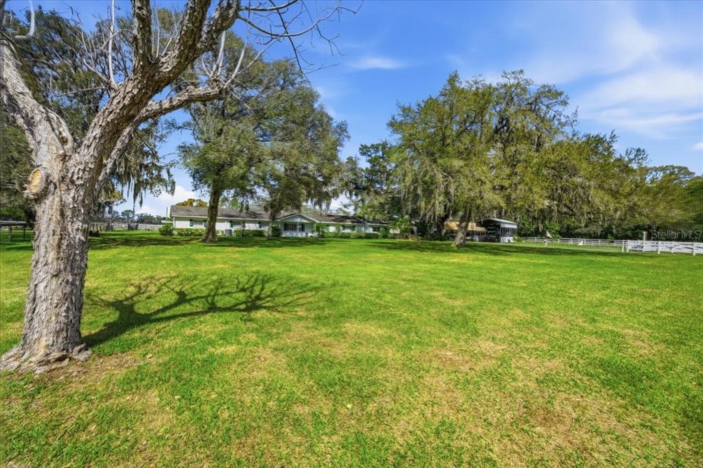 A large, grassy yard features a single-story house surrounded by mature trees with Spanish moss — 9449 ROBERTS ROAD, ODESSA, FL