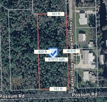This is an aerial map view of a rectangular, wooded vacant lot — CHERRY TREE ROAD, ASTOR, FL