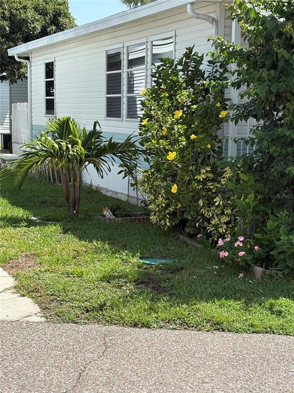 A white mobile home exterior features a palm tree and a flowering hibiscus bush — 9000 US HIGHWAY 192 UNIT 565, CLERMONT, FL