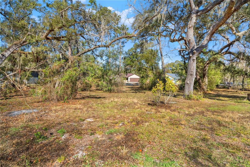 A grassy, wooded lot features mature oak trees and a distant house in the background — SHOREWOOD DRIVE, DADE CITY, FL