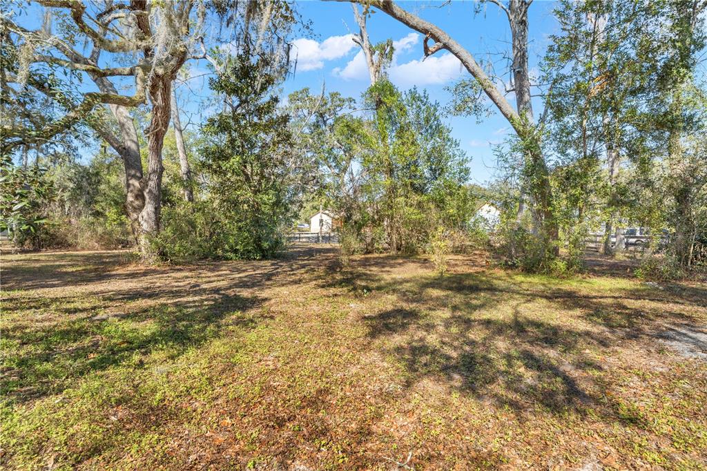 A grassy, wooded lot features large trees with Spanish moss under a blue sky — SHOREWOOD DRIVE, DADE CITY, FL