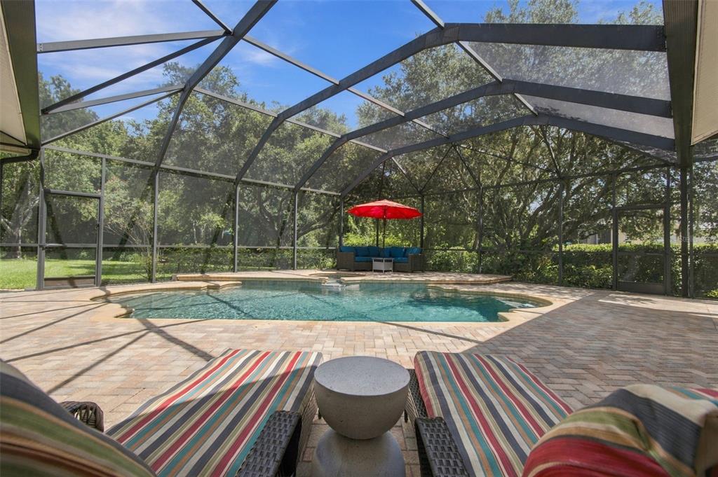 6901 AQUEDUCT TERRACE, ODESSA, FL — photo 2 of 30