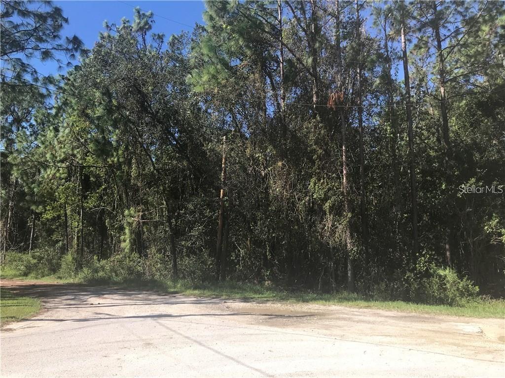 A dirt road leads to a dense, wooded lot with tall pine and deciduous trees — 7341 WESTPOINT DRIVE, WESLEY CHAPEL, FL