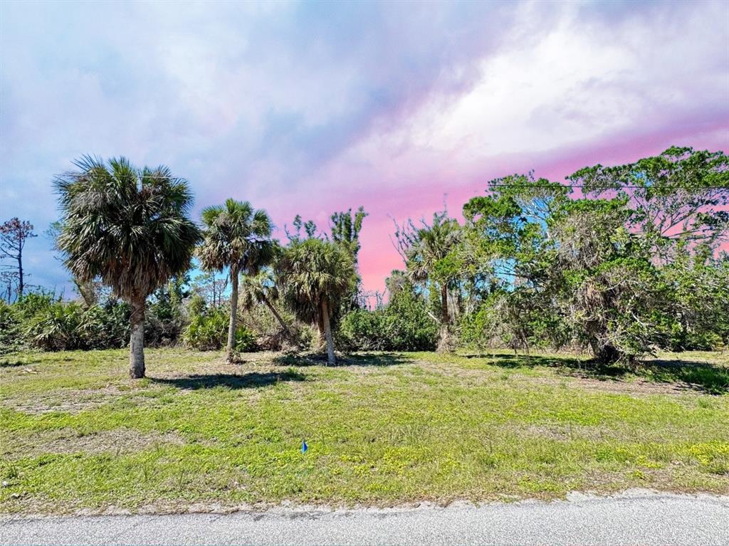 A vacant, grassy lot features several palm trees and dense vegetation under a clear sky — 50 COBIA DRIVE, PLACIDA, FL