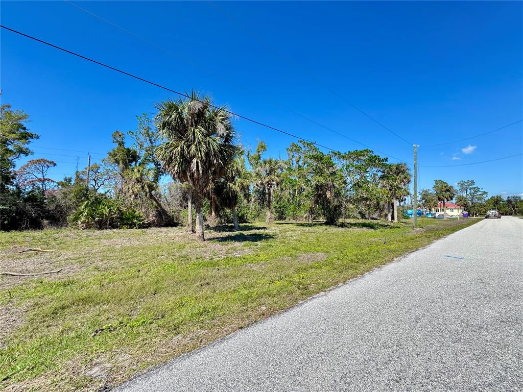 A grassy, undeveloped lot with palm trees sits beside a paved road under a blue sky — 50 COBIA DRIVE, PLACIDA, FL