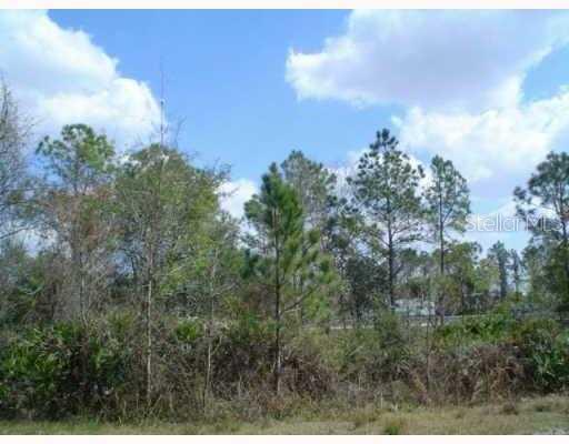 A wooded lot with pine trees and dense underbrush under a blue sky with clouds — SANIBEL, ZEPHYRHILLS, FL