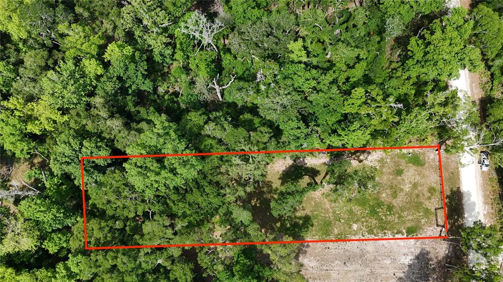An aerial view shows a rectangular plot of land partially covered by trees and grass — TBD 292ND ST, BRANFORD, FL