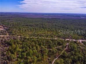 An aerial view shows a large, undeveloped plot of land covered in dense forest and brush — INTERNATIONAL DRIVE, ORLANDO, FL