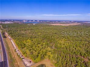 An aerial view shows a large, undeveloped wooded lot adjacent to a paved road — INTERNATIONAL DRIVE, ORLANDO, FL