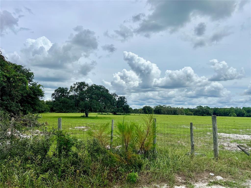 A wire fence borders a grassy field with scattered trees under a cloudy sky — ALTURAS BABSON PARK CUT-OFF, BARTOW, FL