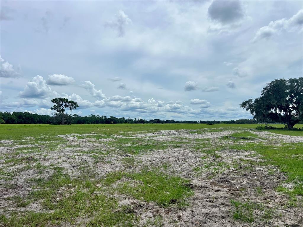 A wide, grassy field with patches of exposed sand under a cloudy sky — ALTURAS BABSON PARK CUT-OFF, BARTOW, FL